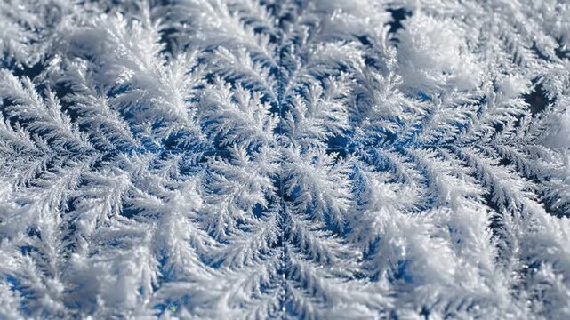 Ice Crystals Forming and Expanding Rapidly in Time Lapse