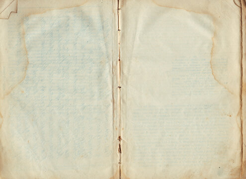 Vintage empty background of old book spread texture