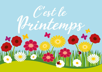 Hello spring. French language. Flowers and blue sky background. Horizontal hand drawn illustration. © Albachiaraa
