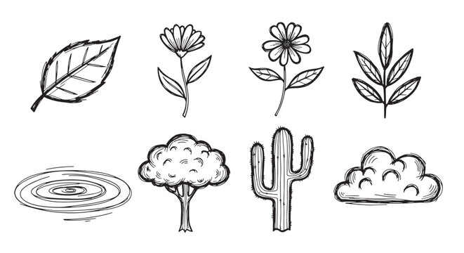 Nature and botanical icons featuring trees flowers cactus and leaves. Hand drawn organic garden and plant elements.
