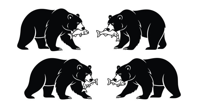 Two pairs of black bears each holding a freshly caught fish