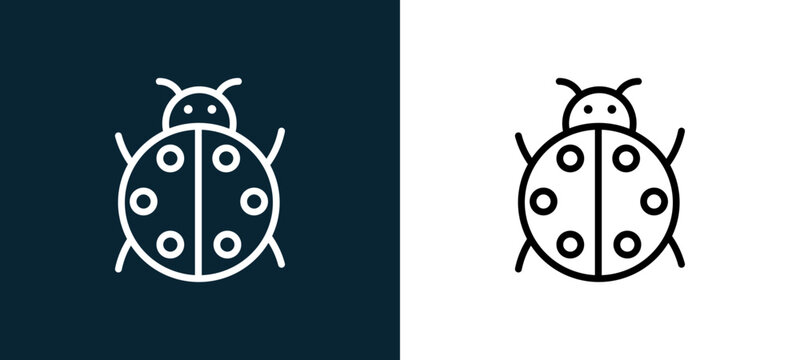 Two-color ladybug outline icon pair in black and white, editable stroke vector illustration for web, mobile apps, UI design, branding, and print from seasons
