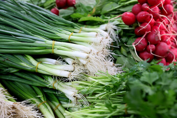 Fresh green onion and radishes collected from the field and presented for sale by farmers and vegetable growers. © Silviu
