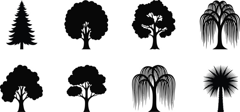 Collection of eight black tree silhouettes on white background pine tree deciduous tree weeping willow