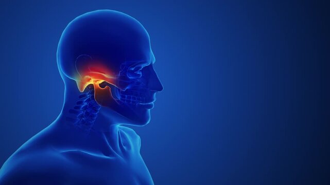 Temporomandibular Joint Pain Anatomy Medical Concept