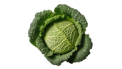 Fototapeta premium Fresh green savoy cabbage with crinkled leaves, isolated on transparent background