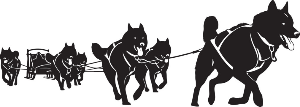 Sled dogs, dog sled, husky team, winter sports, black vector icons