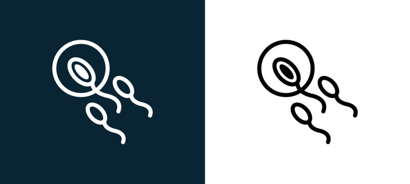 Two-color sperm entering to an ovule outline icon pair in black and white, editable stroke vector illustration for web, mobile apps, UI design, branding, and print from body parts