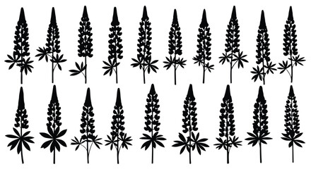 Fototapeta premium Collection of black silhouette lupine flowers and leaves arranged in a decorative pattern on a white background