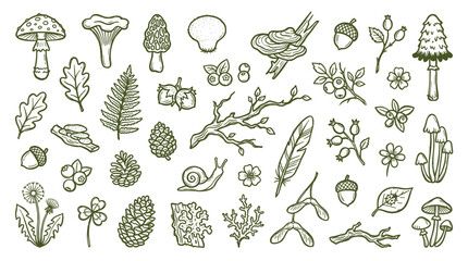 Fototapeta premium Whimsical Forest Elements Collection Hand Drawn Sketch Style