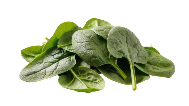 Pile of fresh green spinach leaves, isolated on transparent background