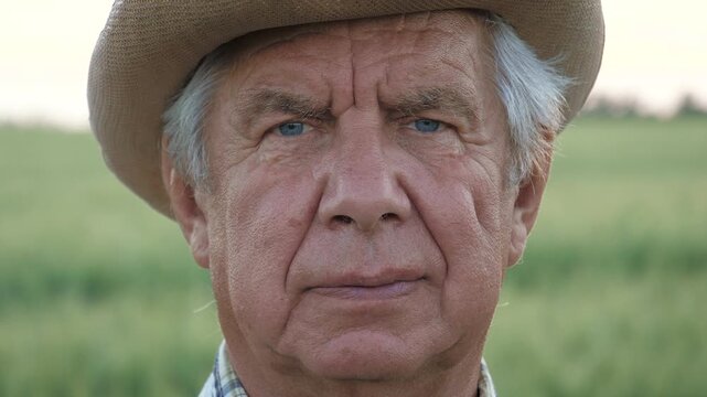 Closeup tanned senior farmer portrait weathered face in sunlit field. Old man wearing cowboy hat and plaid shirt, stoic gaze, deep wrinkles and calm expression conveying decades of rural labor