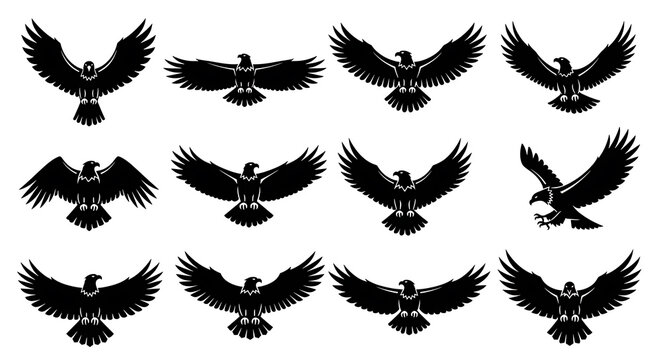 American bald eagle flight profile icons for emblems and badges