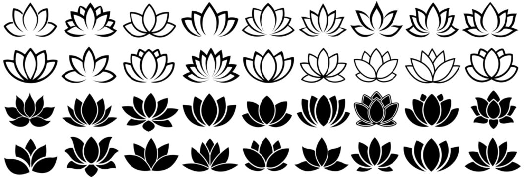 set collections lotus flower icon. lotus silhouette symbol. luxury lotus logo design vector illustration