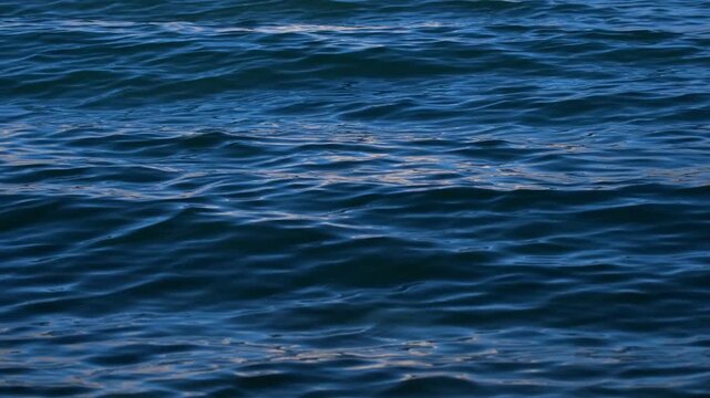 Cinematic shot of Pangong Lake during early morning, with soft golden light reflecting on the calm water as birds gently glide across the surface. Ideal moment for travel and nature storytelling.
