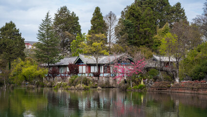 Obraz premium Ancient buildings and pink cherry blossoms reflected in a calm green lake under a cloudy sky in a scenic Chinese park.