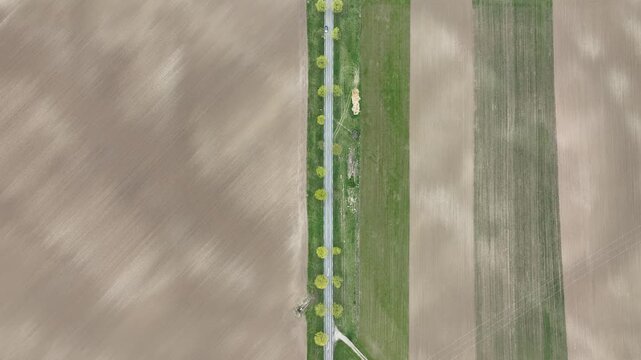 Aerial view of agricultural fields divided by a road lined with trees showing contrasting textures and tones, Neuf-Brisach, Grand Est, France.