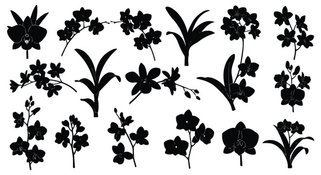 Collection of elegant black orchid flower silhouettes and botanical plant elements isolated on white background