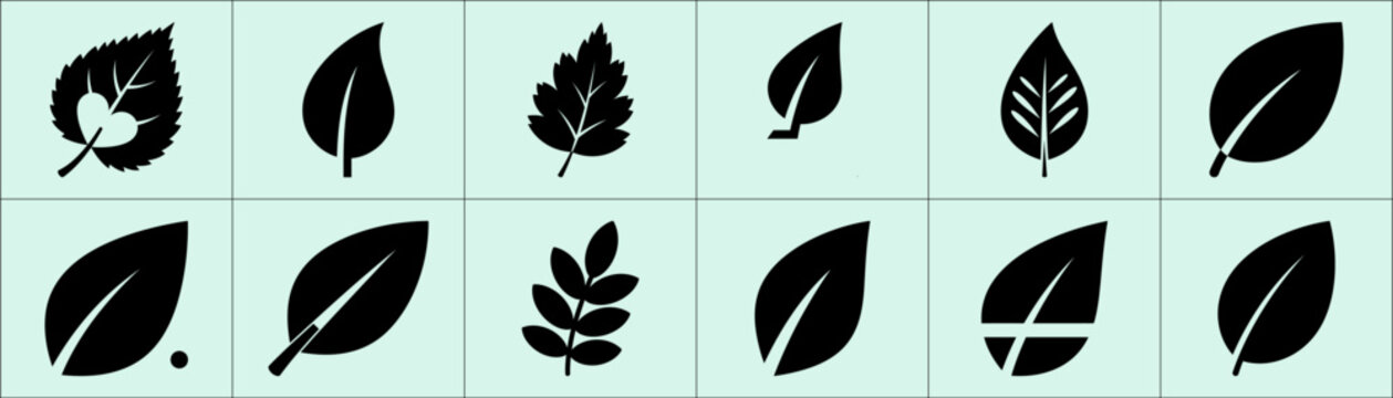Twelve black leaf silhouettes in 3x4 mint green squares with varying shapes