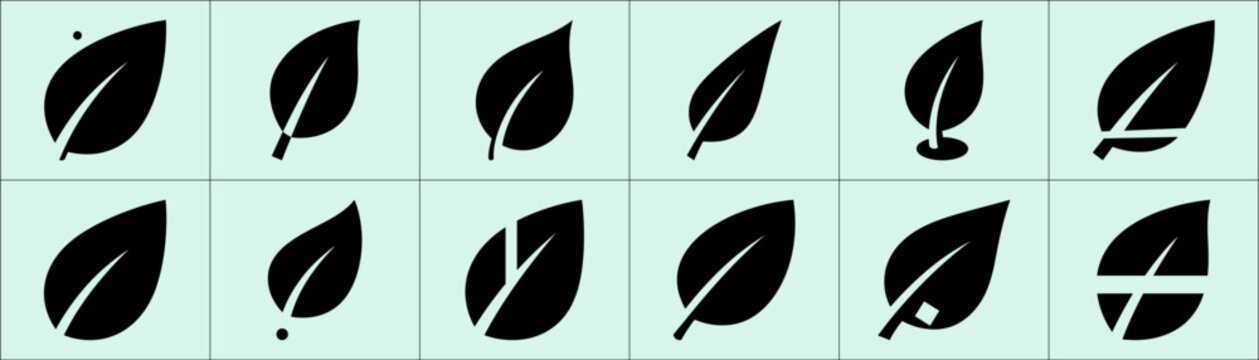Twelve mint green squares with black leaf icons and mint midribs in 2x6 grid