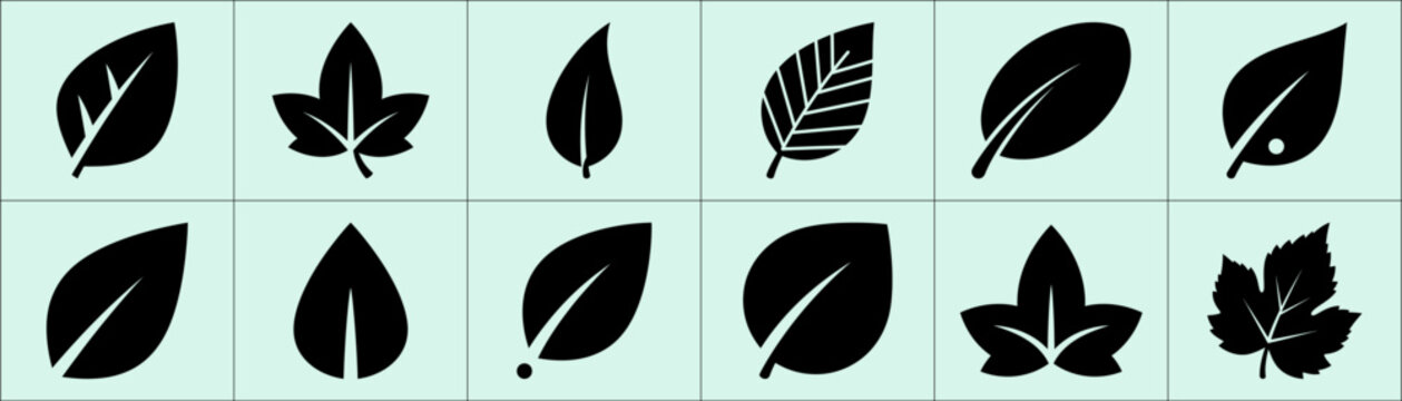 Twelve black leaf silhouettes in 3x4 mint green squares with distinct vein patterns