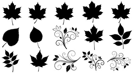 Fototapeta premium Leaves black silhouettes set with various shapes and floral designs on white background. featuring plant icons, botanical illustrations, vector