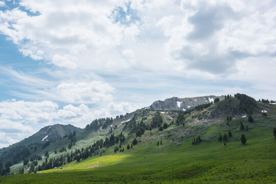 Mountain Landscape. Slope Of Mountain Range With Coniferous Forest
