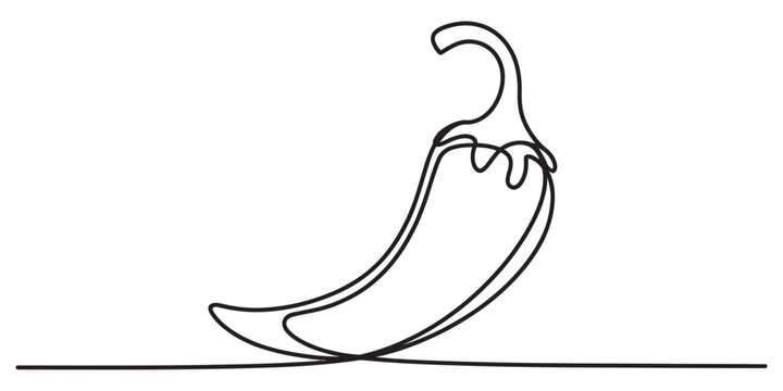 Minimalist continuous line drawing of a single hot chili pepper on a plain white background area Vector, illustration
