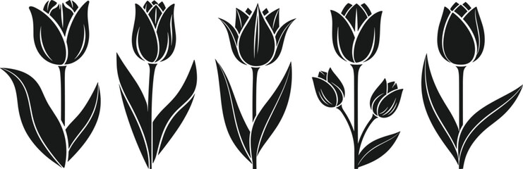 Obraz premium Tulip flower silhouette vector set, black floral icons collection, spring flower design elements isolated on light background illustration