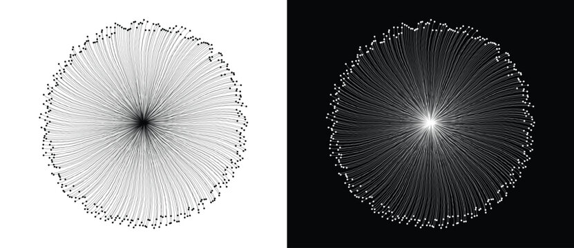 Dense radial burst of curved dot-tipped lines from central point shown on white and black backgrounds. Vector illustration for AI, neural network, organic science and abstract design concepts.