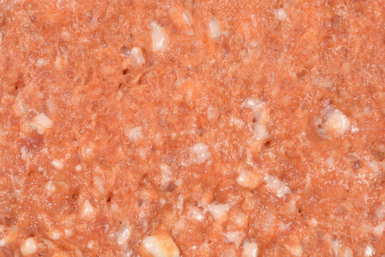 A detailed close up view shows the rough texture of a raw gourmet pljeskavica patty with visible white bits of fat and cheese