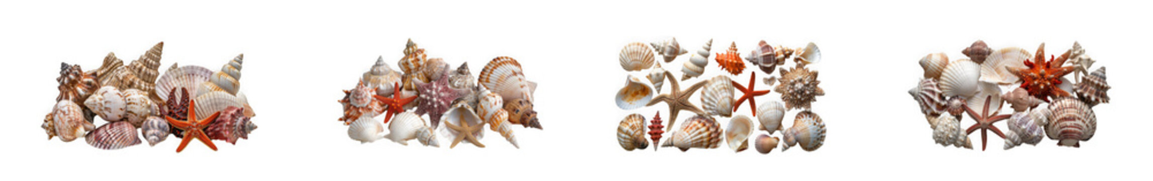 Various seashells and starfish collection isolated on transparent background