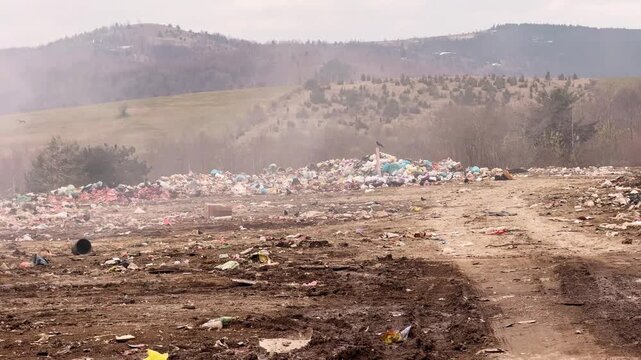 Burning landfill in Serbia with smoke and birds environmental pollution.Large garbage landfill in rural Serbia with smoking waste and flying birds. Environmental pollution and ecological problem 