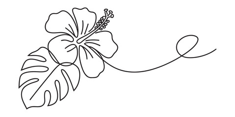 A minimalist single line drawing of a tropical hibiscus flower paired with a monstera leaf. Vector, illustration © D-Stocker2026