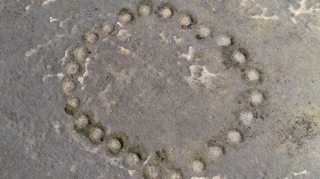 Grand aerial drone shot of the giant ancient geoglyph known as the Ashutasty Ring in the Kostanay region. The footage reveals a massive earthwork ring formed by distinct circular mounds. 