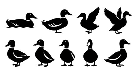 Obraz premium Various waterfowl poses vector set for lakeside and wetland themes