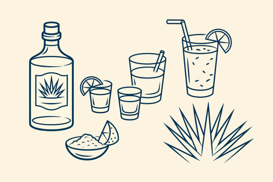 Tequila bottle and glasses with agave plant and lime salt set outline sketch vector illustration design