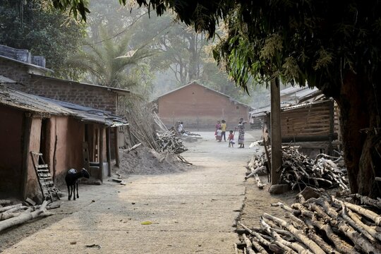 Odisha, India - 26 March 2026: View of a rural village street bathed in soft sunlight, lined with rustic brick homes and piles of gathered firewood, where village life unfolds slowly.
