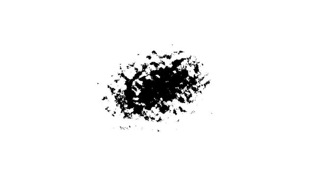 Abstract ink splatter transition in black and white seamless loop, flow expand, Ink transition splatter in water black watercolor ink drops background, Ink Drops Transition on white Background 4k