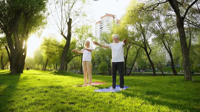 couple of elderly seniors do exercises on mats in the park, gray-haired pensioners stretch their arms and warm up their joints outdoors and actively relax in the summer