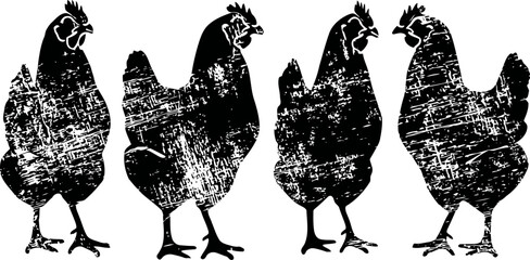 Obraz premium rustic black textured silhouettes of four standing chickens in varying poses