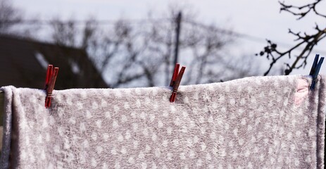 Czerwona klamerka i wysuszone pranie w ogrodzie © Adam