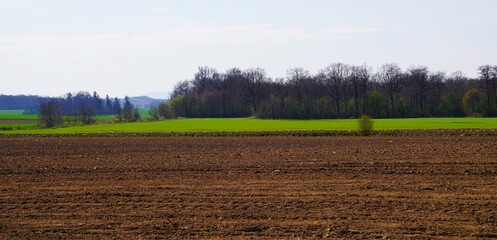 Zaorane pole, góry i gęsty las w tle. © Adam