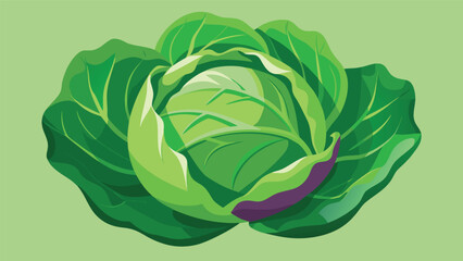 Obraz premium Fresh Green Cabbage: A vibrant illustration of a whole, crisp green cabbage with layered leaves, ready for culinary use and healthy eating