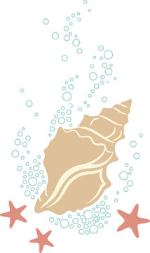 A large conch seashell surrounded by rising bubbles and small starfish, symbolizing ocean life, tranquility, and coastal beauty.