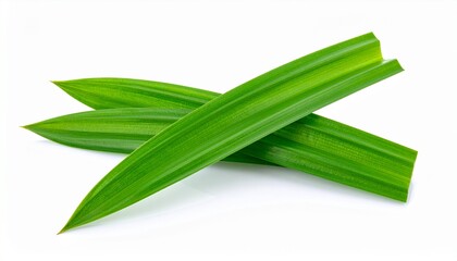 Fototapeta premium Fresh Green Pandan Leaves on White Background Perfect for Asian Cuisine or Wellness Product.
