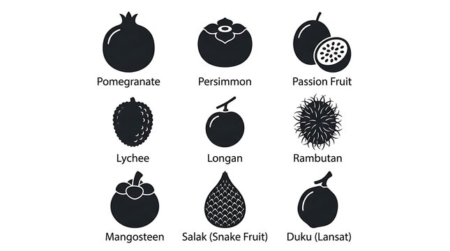 Exotic Fruit Icons Illustration.