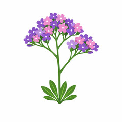 Obraz premium Purple wildflower cluster soft botanical vector illustration