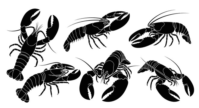 Lobster Silhouettes Collection: Seafood, Marine Life, Culinary Art