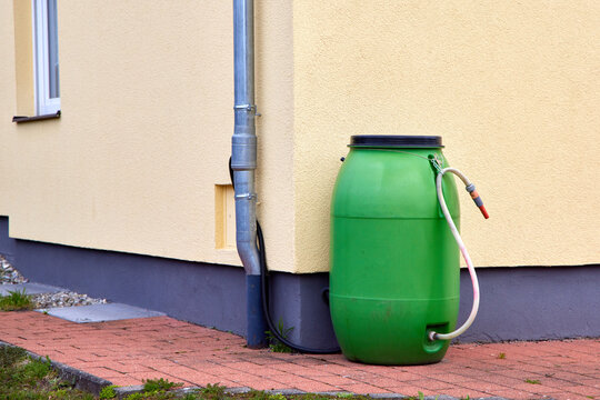 Green plastic rain barrel connected to a downpipe for collecting rainwater. Concept of sustainable gardening, water saving and eco-friendly household.